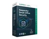 Kaspersky Internet Security 2020 10 Postes / 1 An KL19398BKFS-20MAG